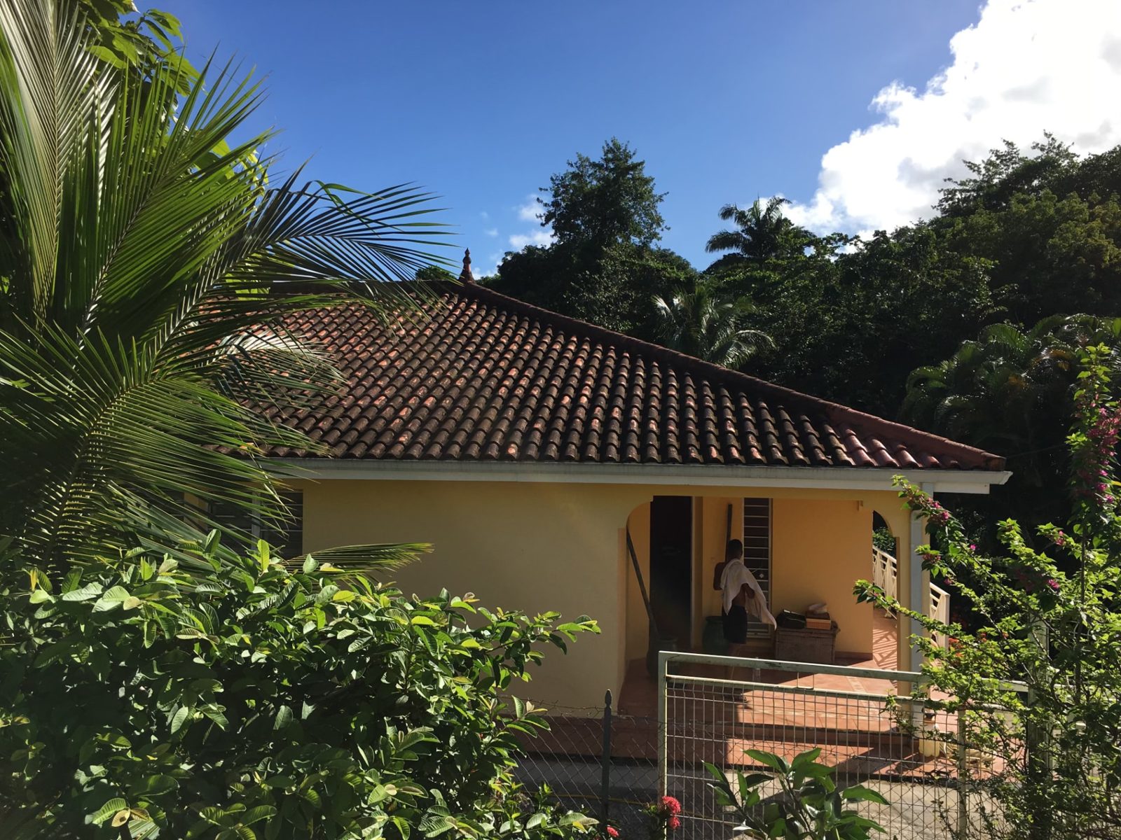 Toiture de villa aux tuiles sombres et encrassées avant démoussage